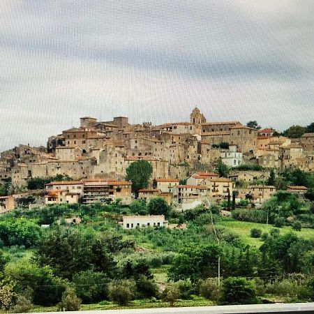 Castiglione Apartament You&Me Apartment Castiglione In Teverina Luaran gambar
