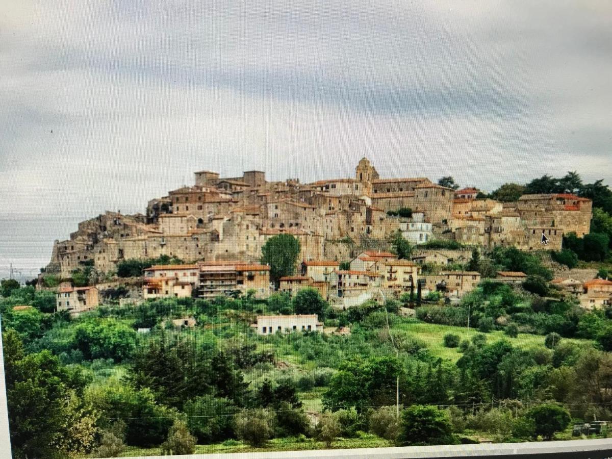Castiglione Apartament You&Me Apartment Castiglione In Teverina Luaran gambar